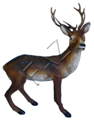 C232-97x74cm