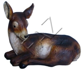 C30-56x71cm