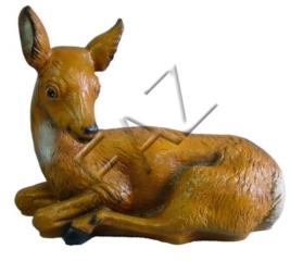 C30a-56x71cm