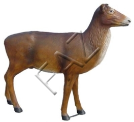 C359-170x190cm