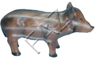 C42a-28x50cm