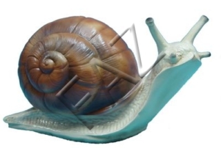 C81-25x44cm